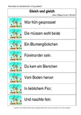 Ordnen-Gleich-und-gleich-Goethe.pdf
